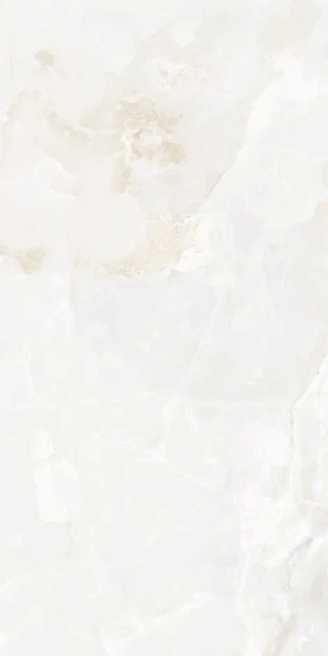 QI612P6701M  На пол Onix Astral Polish 60x120 - фото 10