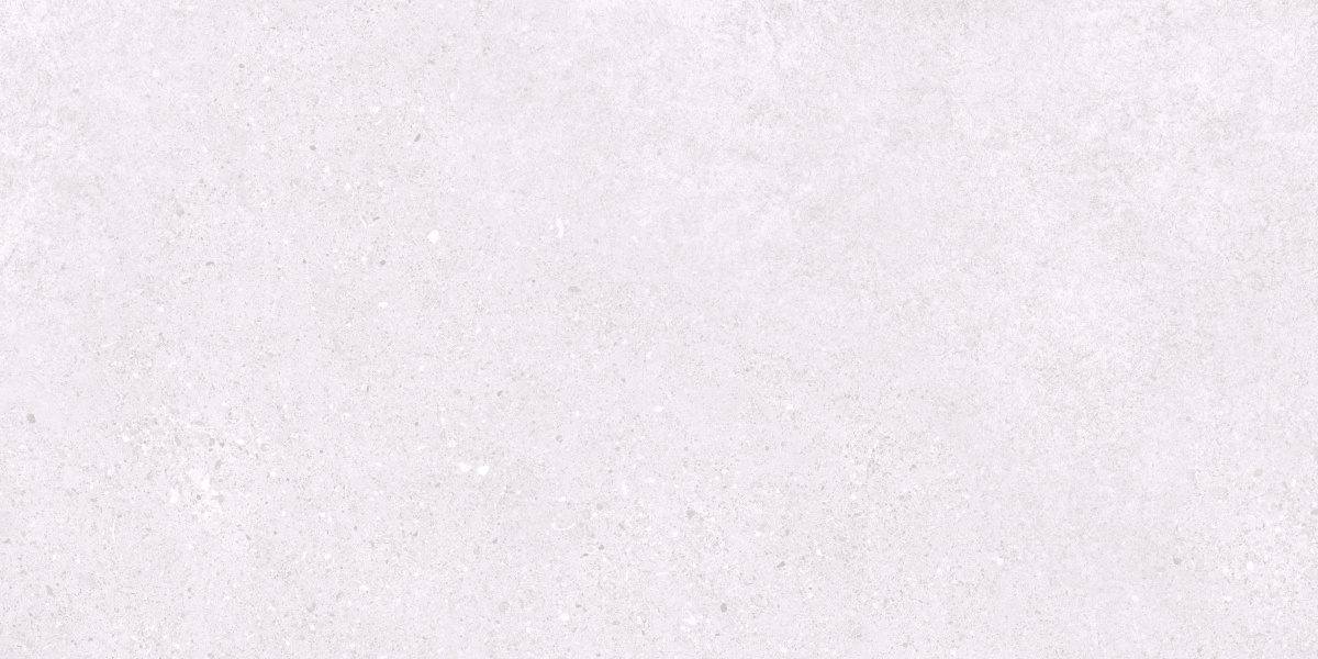 На пол Базальт Эксепшнал Сноу Светло-серый матовый 60х120