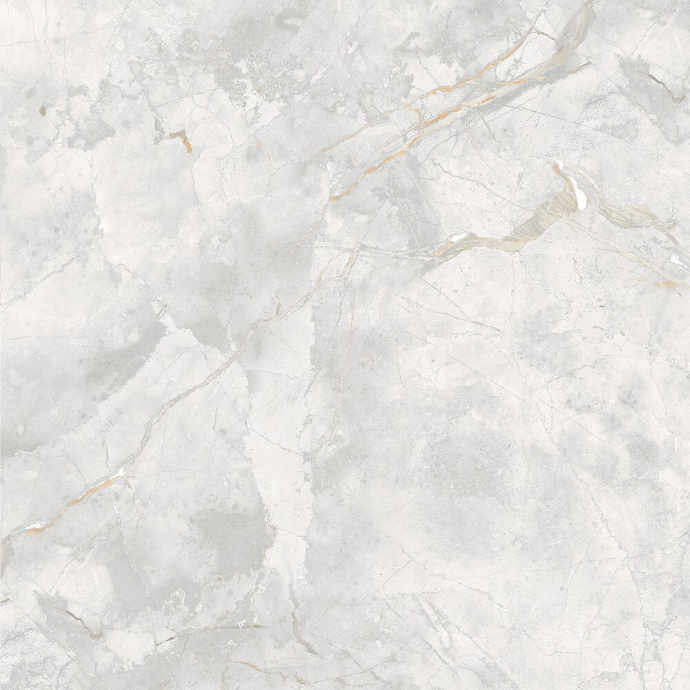 166687 На пол Elison Polished 60x60 - фото 5