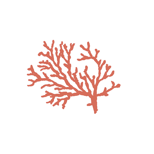 4101301 Декор Stories Costiera Matte 10x10 - фото 2