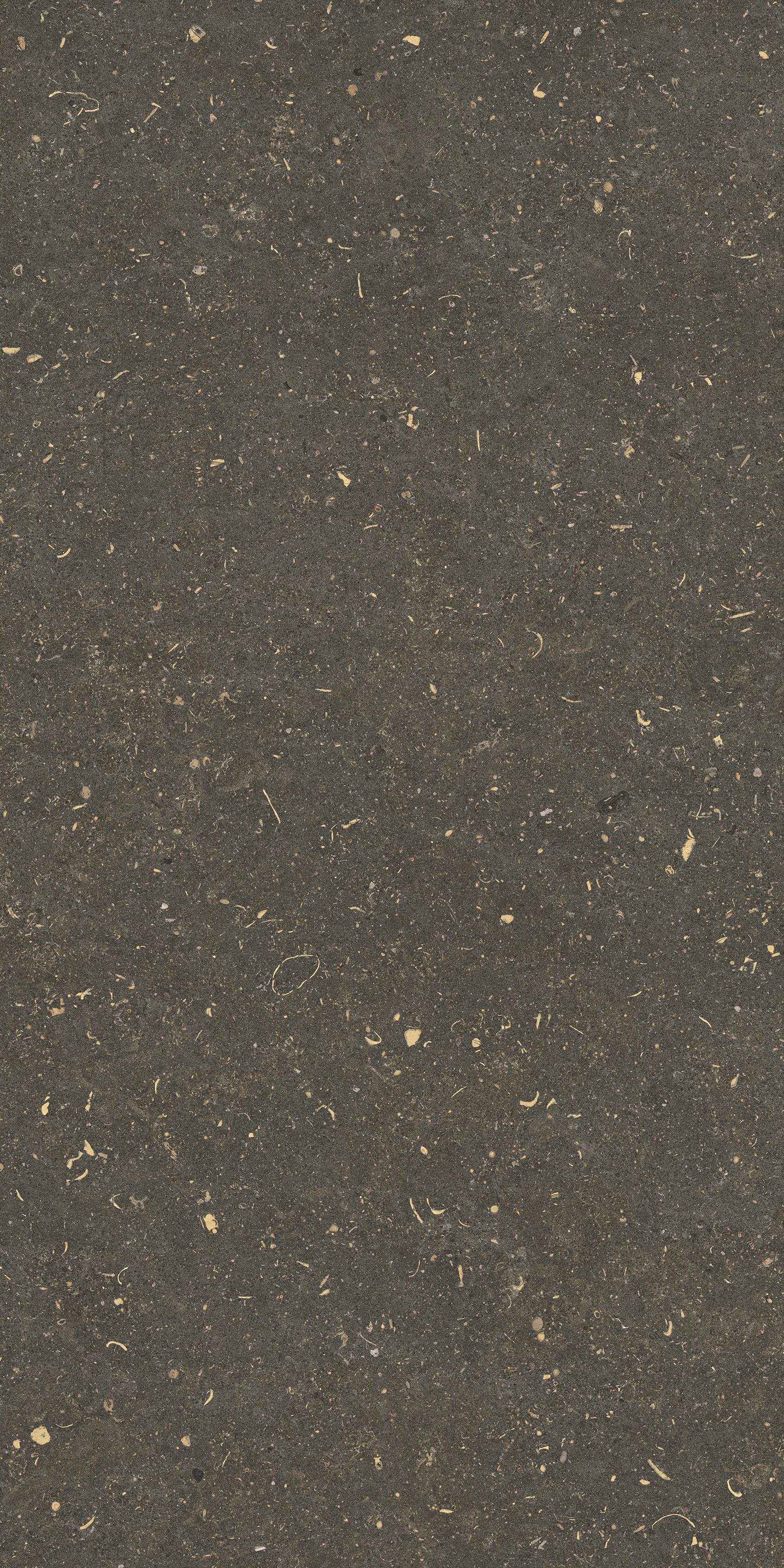 785511 На пол Rinascenza Arena Platino Grip 20mm 60x120 - фото 4