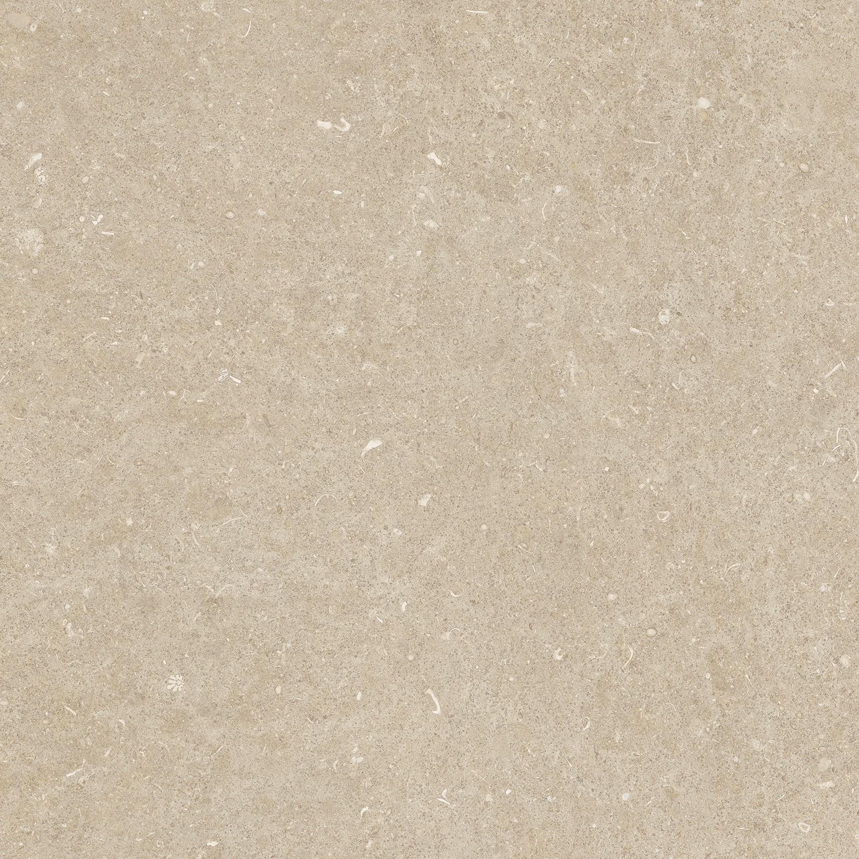 785497 На пол Rinascenza Arena Conchiglia Grip 60x60 - фото 5