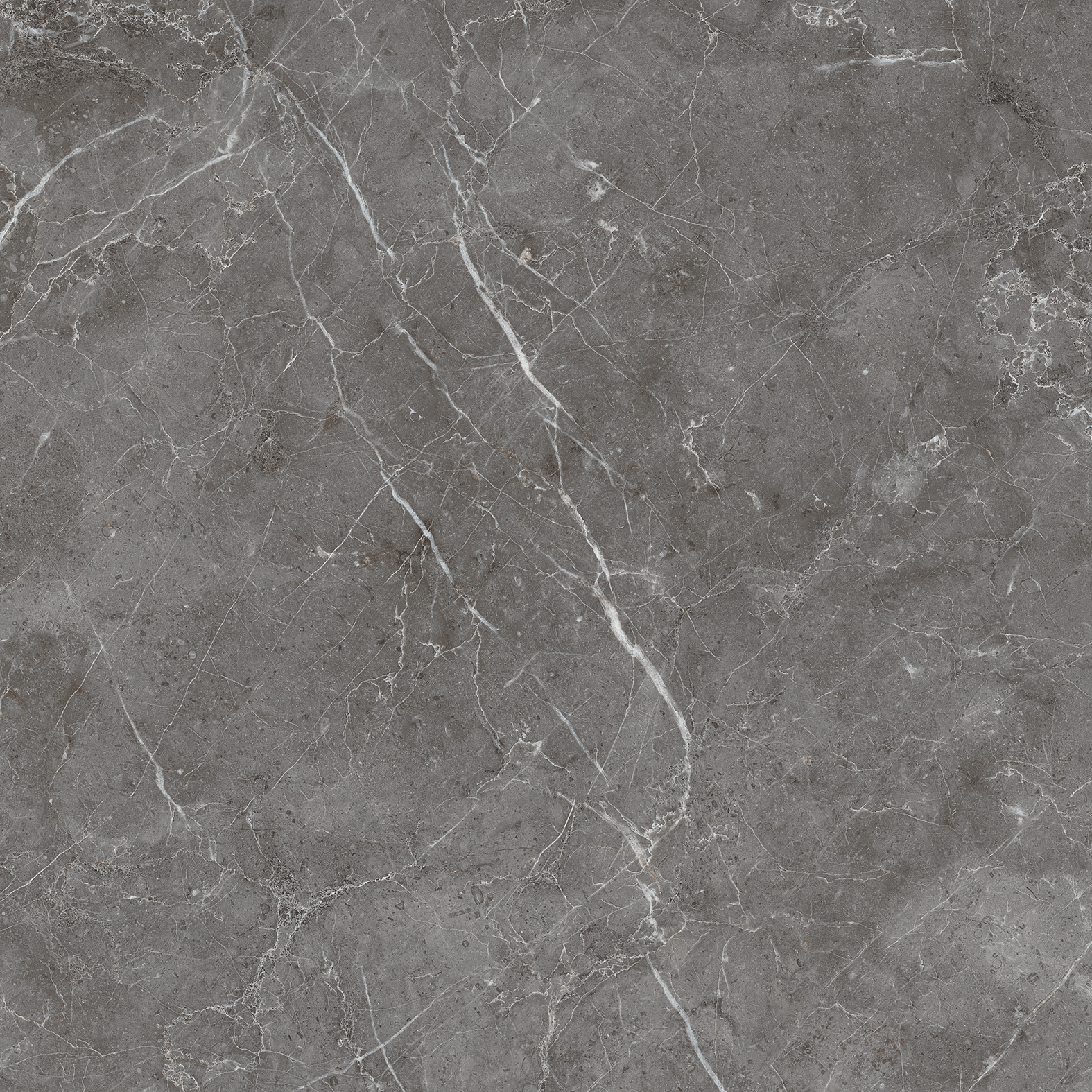 CR6001-A На пол Esperia Grigio Carving 60x60 - фото 4