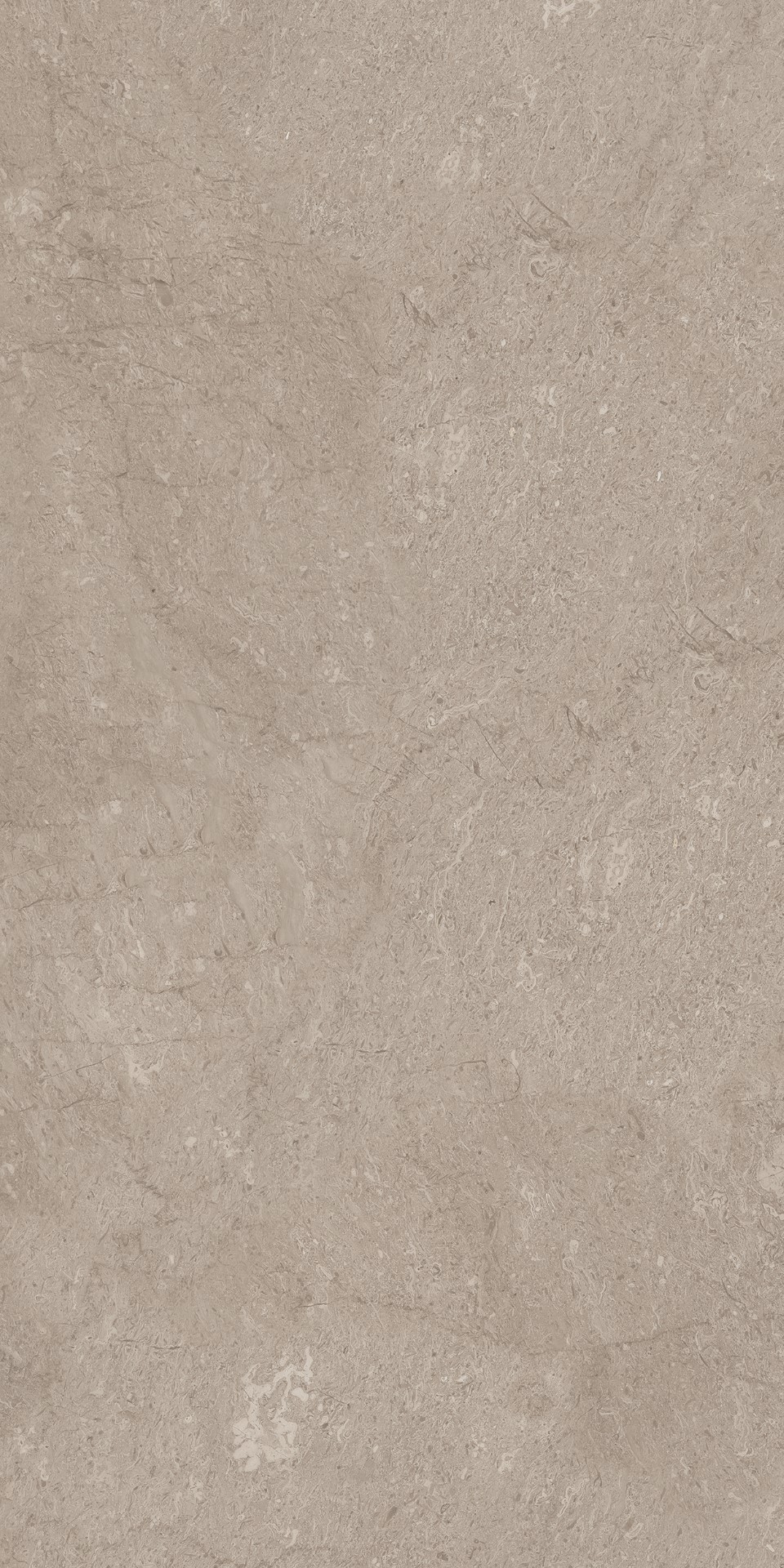 AEM02/NS_R9/60x120x9R/GW На пол Элемента Серый Неполированный Рект 60x120x9 - фото 5