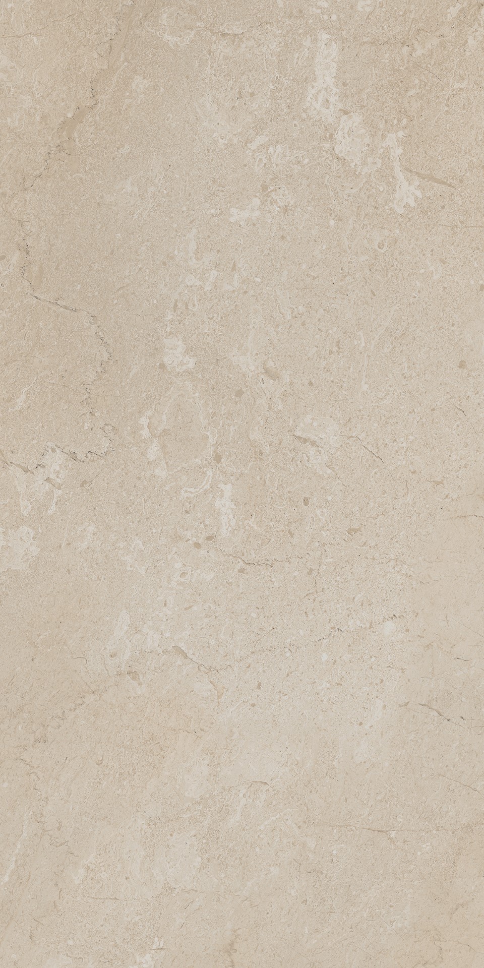 AEM01/NS_R9/60x120x9R/GW На пол Элемента Бежевый Неполированный Рект 60x120x9 - фото 10