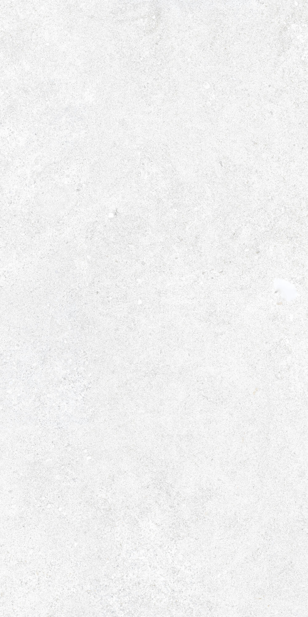 36905 На пол Cluny White 4D/50X100X2/A/R 50x100 - фото 13