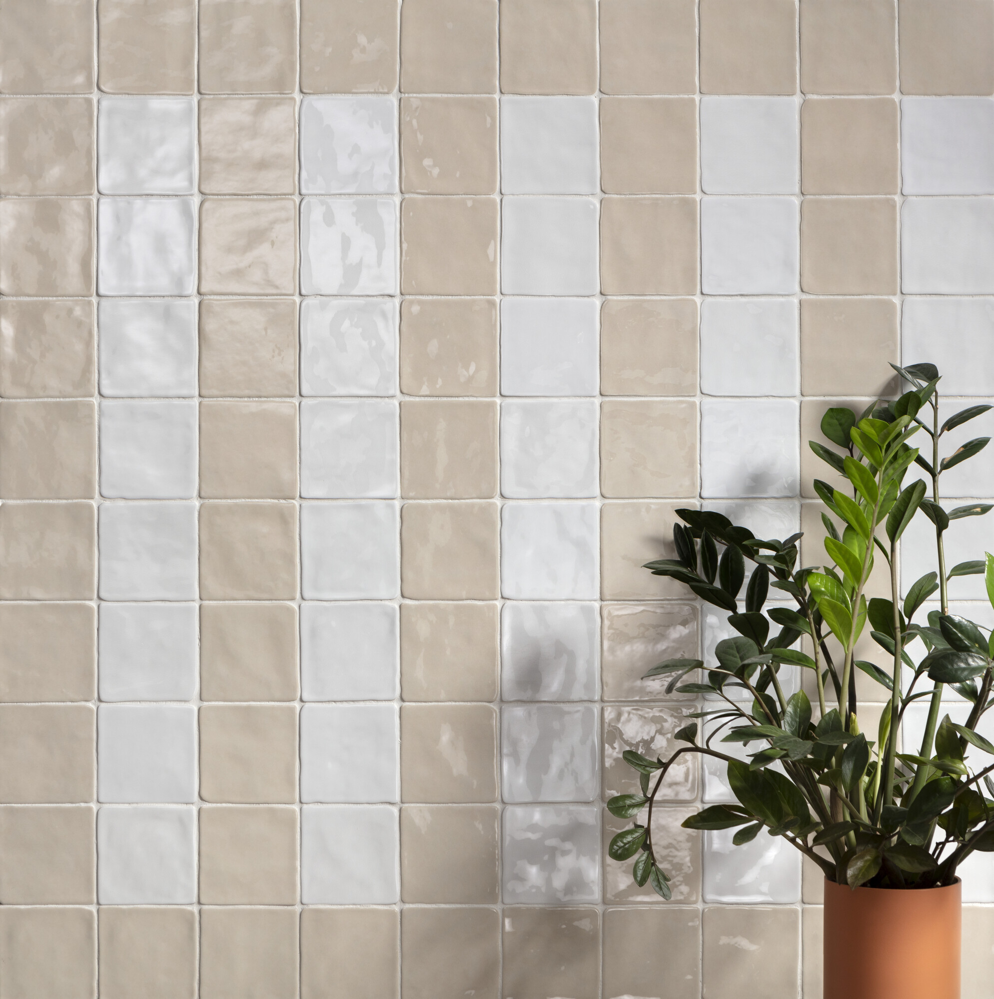 Harmony Hana - фото 2