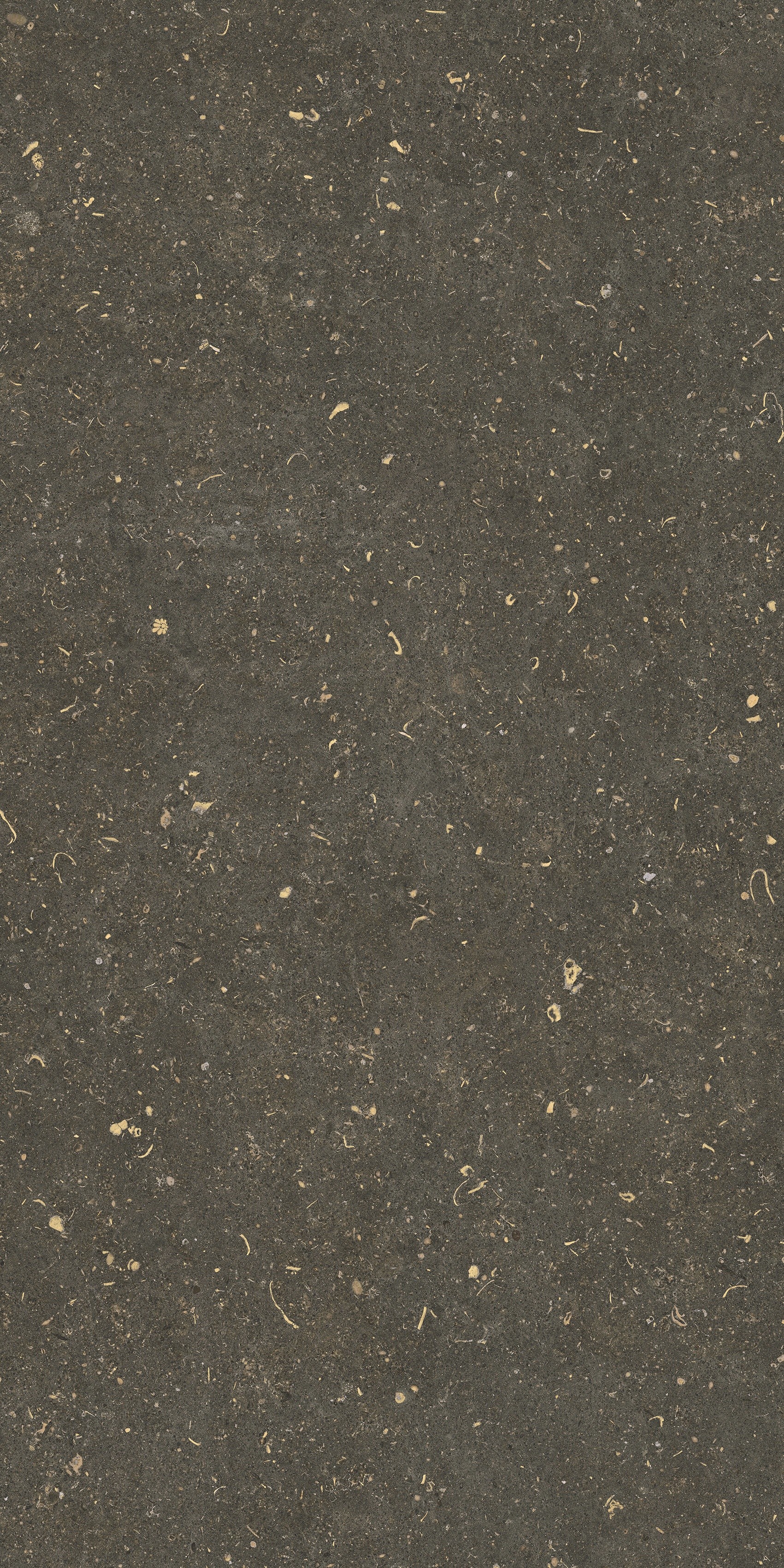 785511 На пол Rinascenza Arena Platino Grip 20mm 60x120 - фото 3