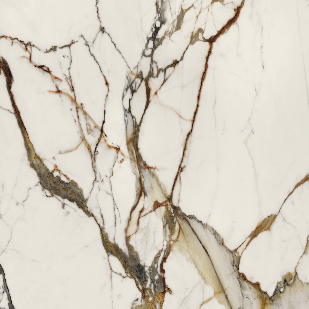 100331132 На пол Xlight Paonazzo Biondo Polished 120x120 - фото 4