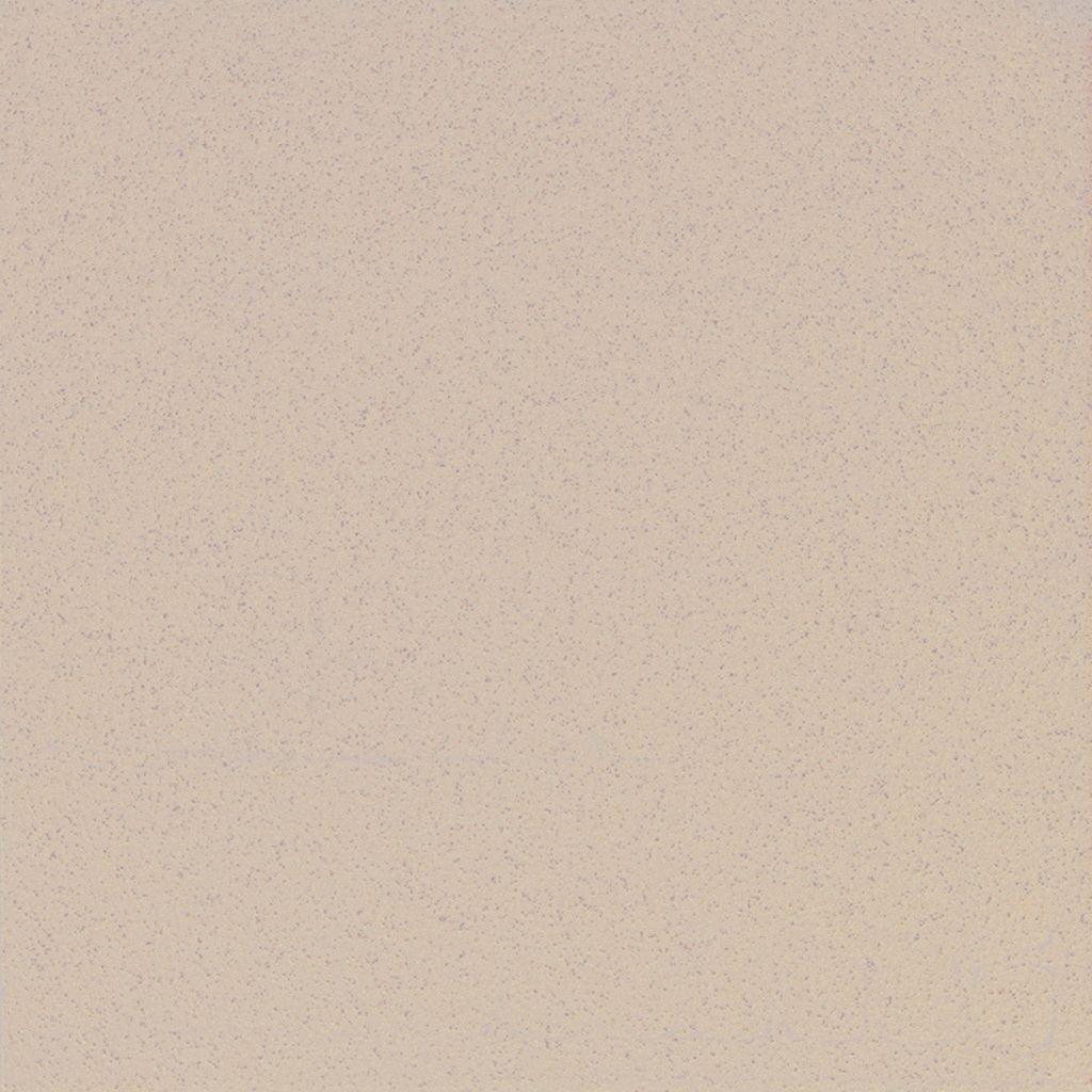 ST17/NS_R9/60x60x9R/UC На пол Standard ST17 Grey Beige Неполированный Рект. 60x60x9