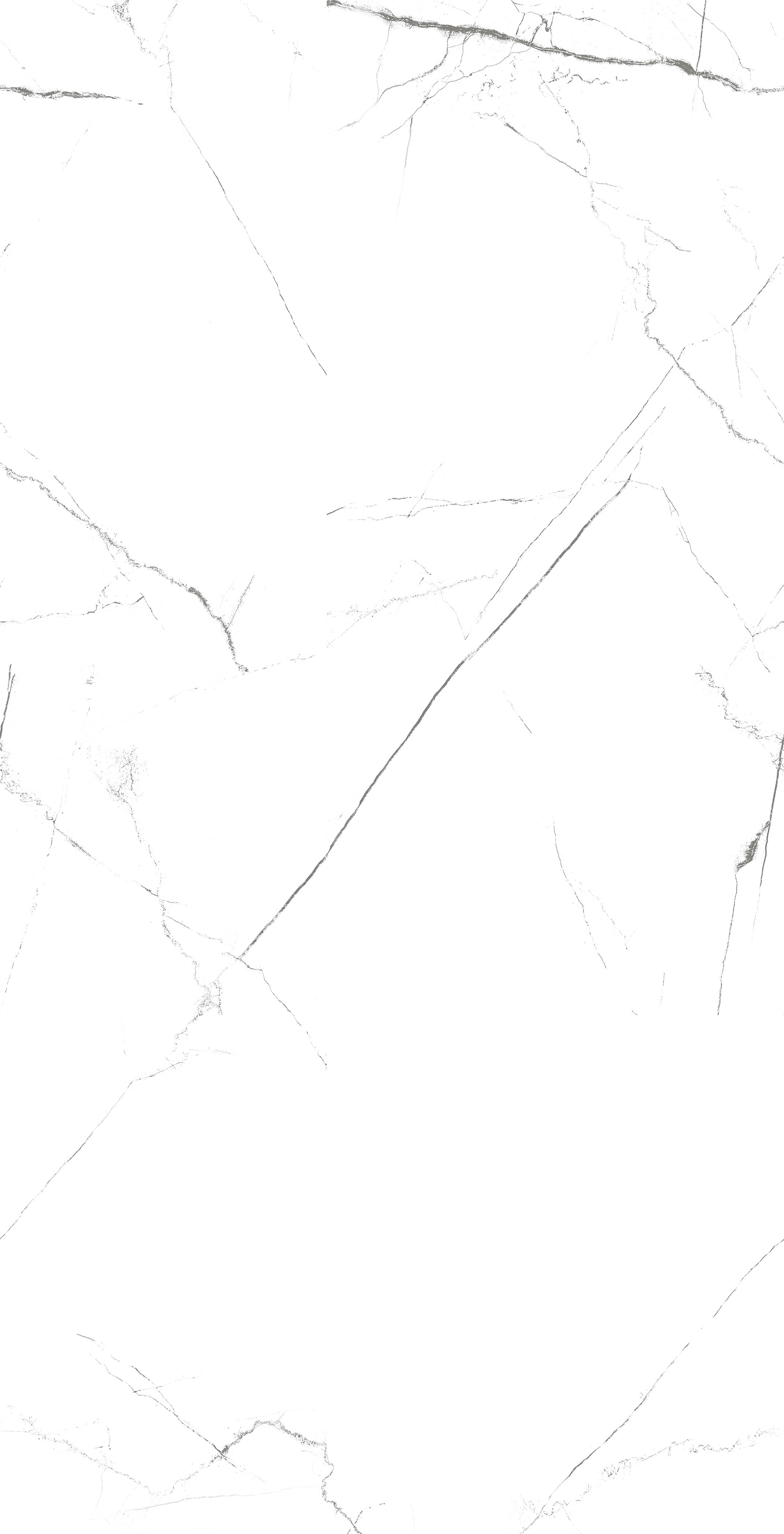 MOG101/PS_NC/60x120x9R/GW На пол Marble MOG101 White 120x60 Полированный Рект.