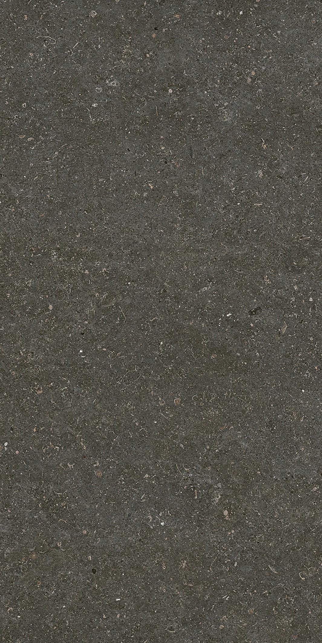 785577 На пол Rinascenza Arena Platino Matte 6mm 60x120 - фото 9