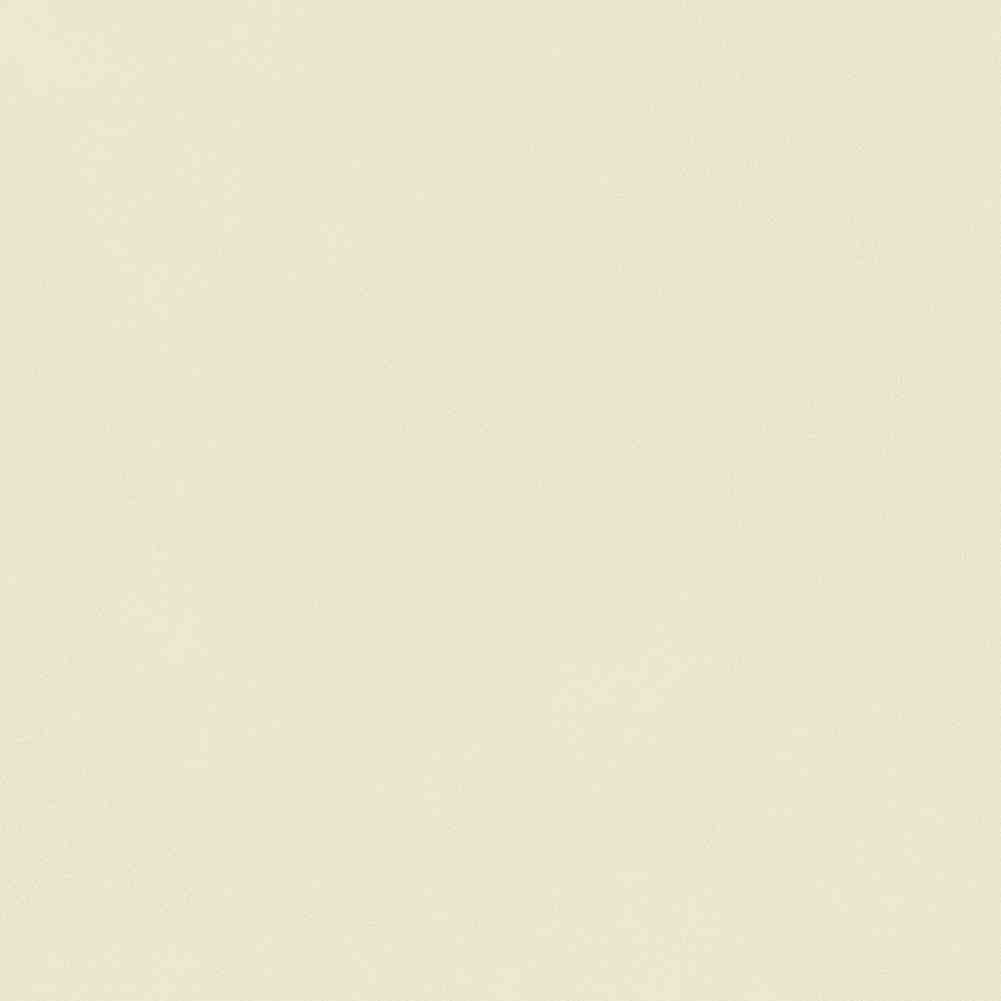 ENCLR6081MT2020 На пол Corsica Beige Matt 200х200х8