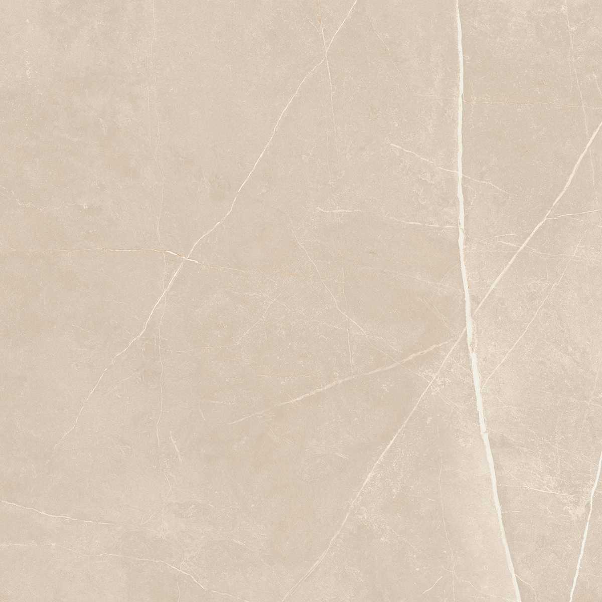 NL01/PS_NC/60x60x10R/GW На пол Nolana NL01 Beige Полированный Рект. 60x60x10 - фото 7