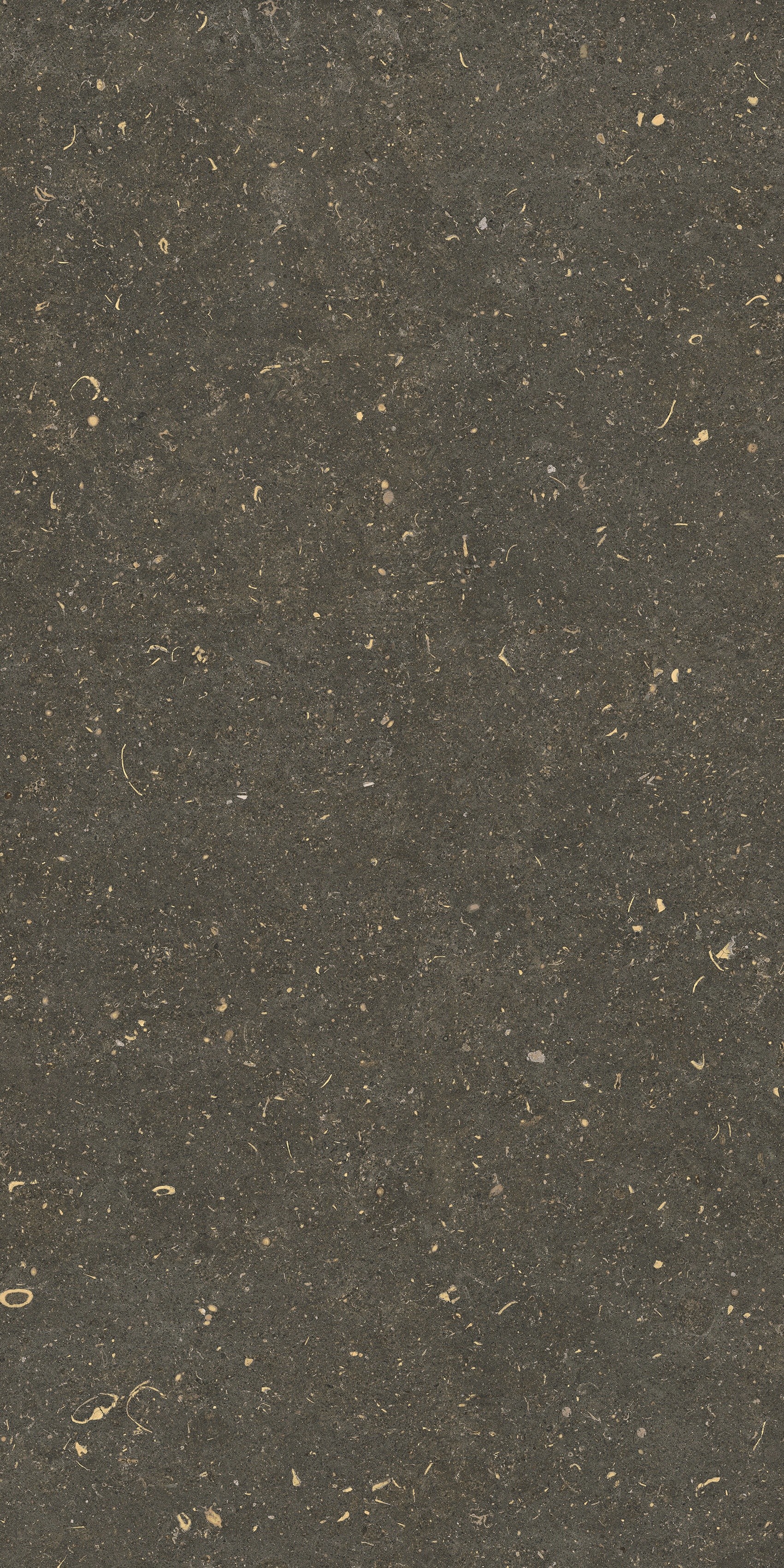 785483 На пол Rinascenza Arena Platino Matte 60x120