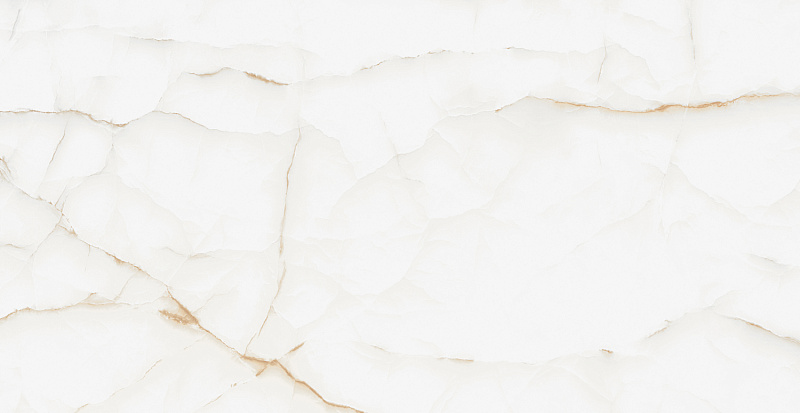 F4020821120G На пол Onyx White Glossy 60x120