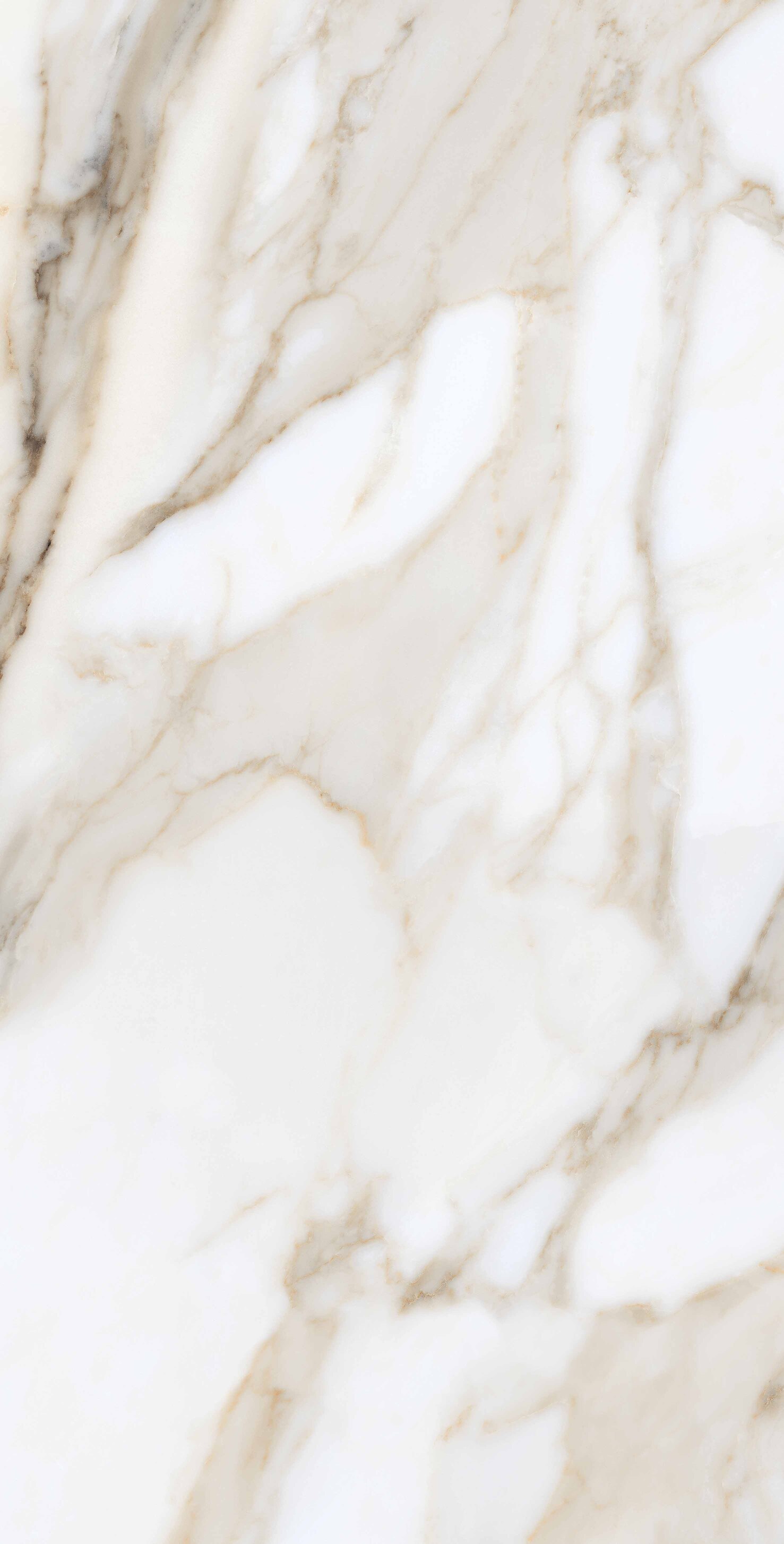 На пол Calacata Gold Polished 75x150