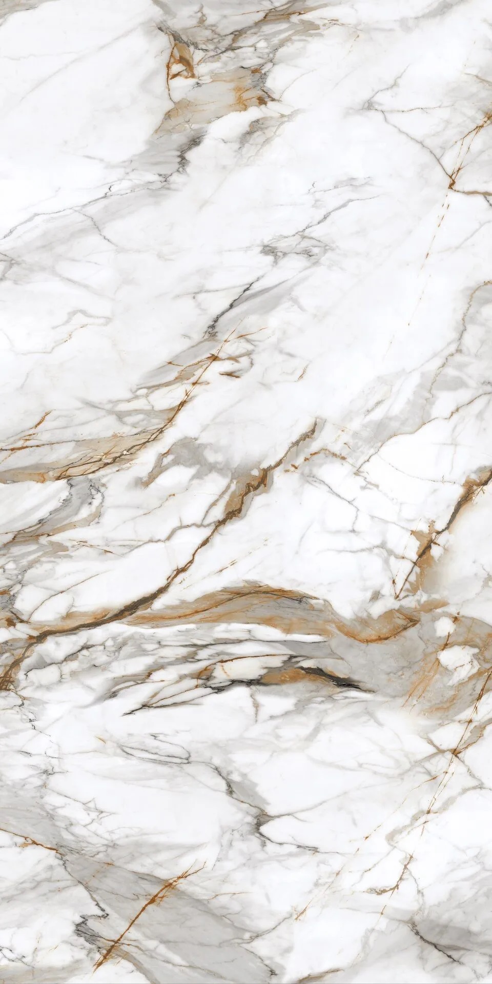 PT12P7081 На пол Royal Marble Полированная 1200х600х9 - фото 4