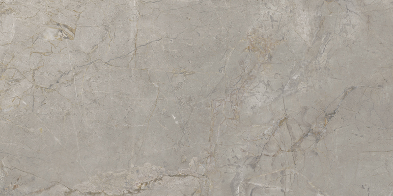 2A22 На пол Elements Lux Silver Grey Lap Rt 120x60 - фото 4