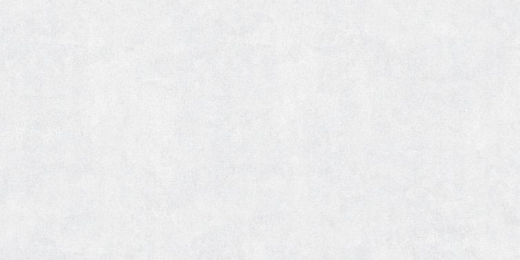 На пол Pro Line Cement Light Gray MT 60х120