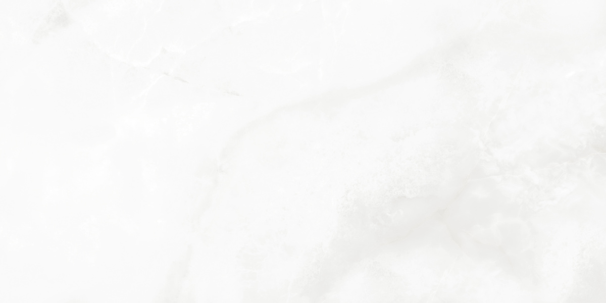 LP6012G0541R На пол Bernini Bianco белый глянцевые чернила 59.5х119.1 - фото 4