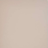 Керамогранит Моноколор GT028M RAL1019 Капучино матовый 60x60