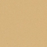 Керамогранит Метлахская плитка 200CA0COG cx.20 COGNAC COG 20x20