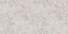 Декор Dixon Cotton Decor 2 Porsh 60x120