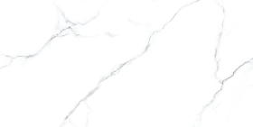 N20419 Керамогранит Classic Marble Mckinley Carving 60x120