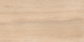 Керамогранит Foresta Amazon Wood Beige Matt 60x120