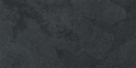 610015000331