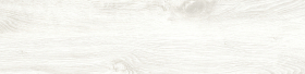 A15989