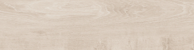 WP4T523