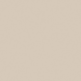 RW01/NS_R9/60x60x10R/UC
