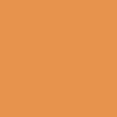YC23/NS_NC/60x60x10R/GW