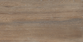 Керамогранит Foresta Amazon Wood Natural Matt 60х120