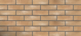 Клинкерная плитка Koro Rosso AC 9204х14 24x7.1