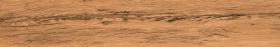 P231123222WM