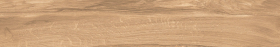 P231123221WM
