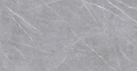 F4070821120G Керамогранит Asmus Grey Glossy 60x120