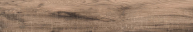 P231123217WM