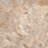 E110082160G Керамогранит Rainbol Brown Glossy 60x60