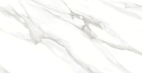 F2010821120G Керамогранит Venezia White Glossy 60x120