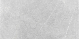 Керамогранит Northon Light Grey MT Rect 60x120