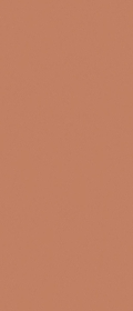 Керамогранит Solid Color Arcilla Red Matt 120x280