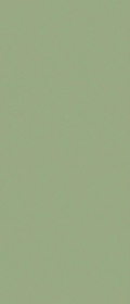 Керамогранит Solid Color Pine Green Matt 120x280