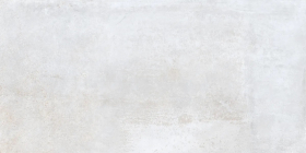 P0004929