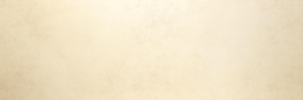 LAMF004538