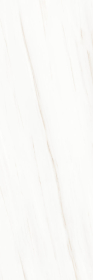 LAMF007923_IT