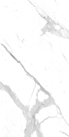 LAMFF00439_IT